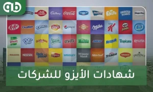 شهادات الأيزو للشركات